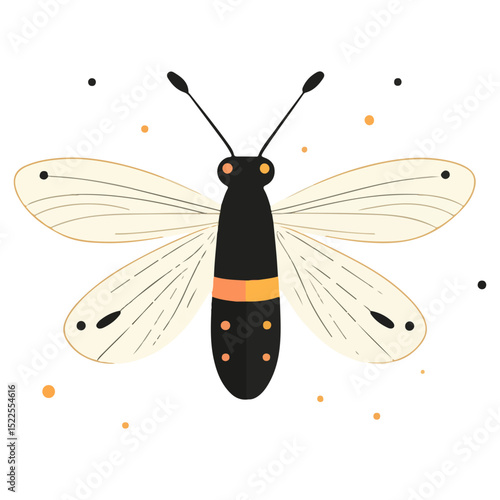 firefly, insect, animal, vector, transparent background, creature, lampyridae, nature, isolated, wing, beauty, colorful, beautiful