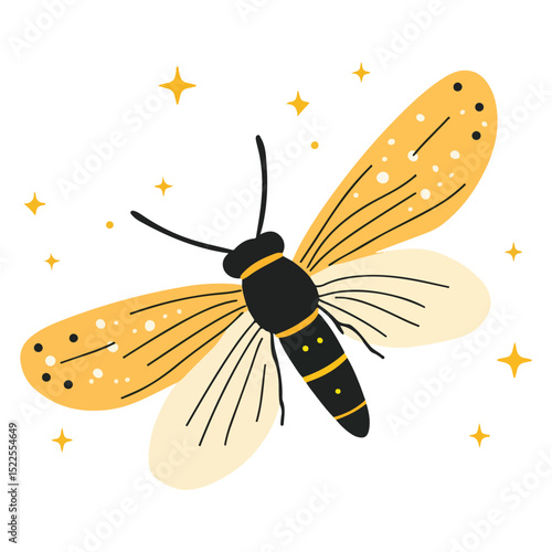 firefly, insect, animal, vector, transparent background, creature, lampyridae, nature, isolated, wing, beauty, colorful, beautiful
