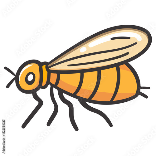 flea, insect, animal, vector, transparent background, creature, siphonaptera, isolated, nature, small