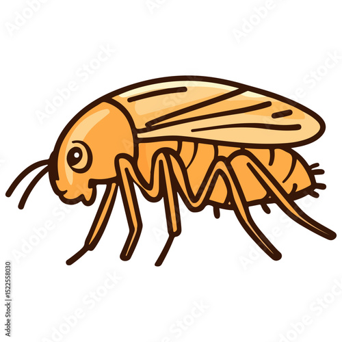 flea, insect, animal, vector, transparent background, creature, siphonaptera, isolated, nature, small