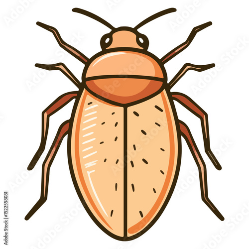 flea, insect, animal, vector, transparent background, creature, siphonaptera, isolated, nature, small