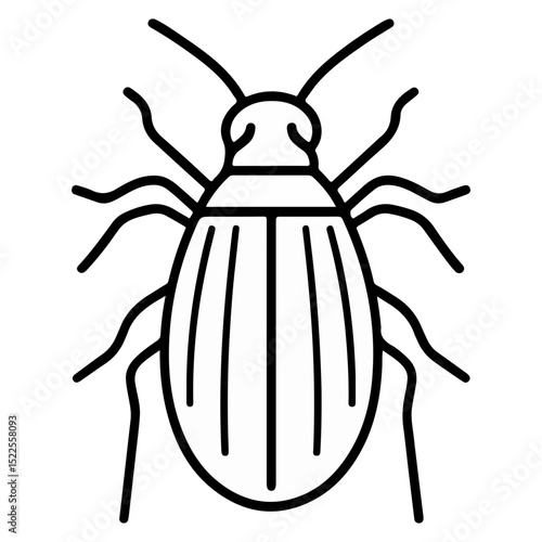 flea, insect, animal, vector, transparent background, creature, siphonaptera, isolated, nature, small