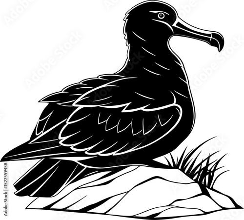 Albatross Silhouette Perched on Rock, Folded Wings Resting Pose, Simple Black Design, Transparent Background
