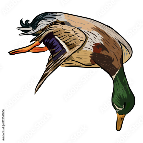 dead mallard duck hunting illustration logo vector image t shirt
