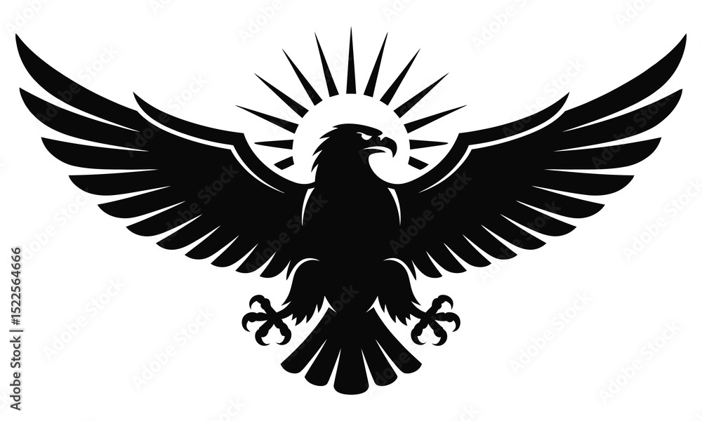 Obraz premium eagle with wings