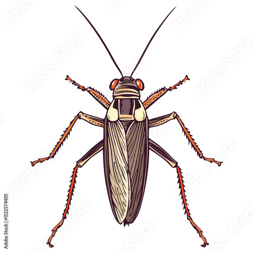 locust, insect, animal, vector, transparent background, creature, grasshopper, isolated, pest, wild, nature, predator, wildlife