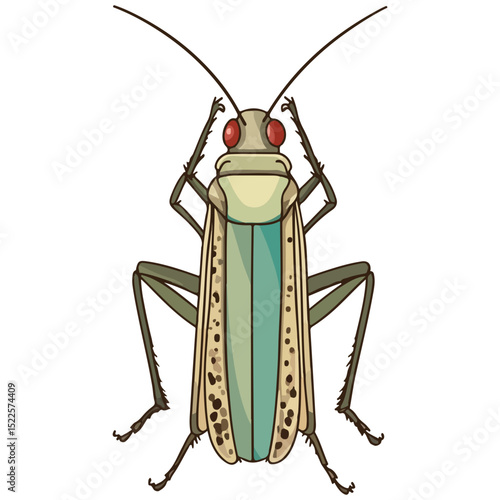locust, insect, animal, vector, transparent background, creature, grasshopper, isolated, pest, wild, nature, predator, wildlife