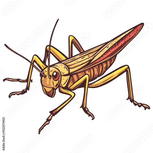 locust, insect, animal, vector, transparent background, creature, grasshopper, isolated, pest, wild, nature, predator, wildlife