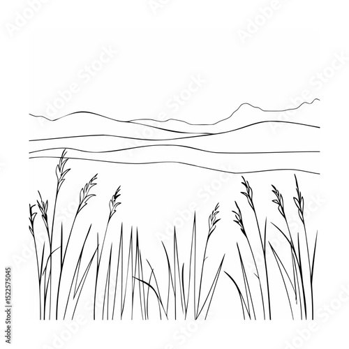 Black and white minimalist illustration of reeds field and distant rolling hills