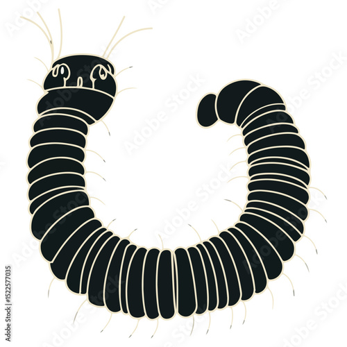 millipede, insect, animal, vector, transparent background, organism, diplopoda, nature, isolated, crawling, wildlife, small, creature