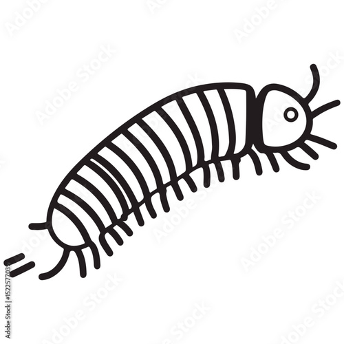 millipede, insect, animal, vector, transparent background, organism, diplopoda, nature, isolated, crawling, wildlife, small, creature