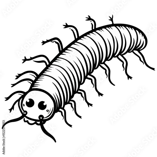 millipede, insect, animal, vector, transparent background, organism, diplopoda, nature, isolated, crawling, wildlife, small, creature