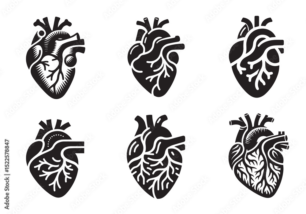 Fototapeta premium Anatomical Heart Silhouette Black Vector Set White Background