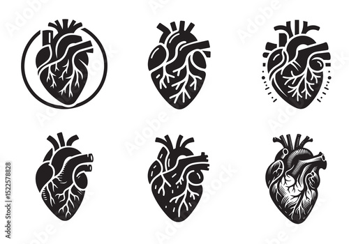 Anatomical Heart Silhouette Black Vector Set White Background