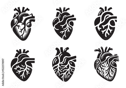 Anatomical Heart Silhouette Black Vector Set White Background