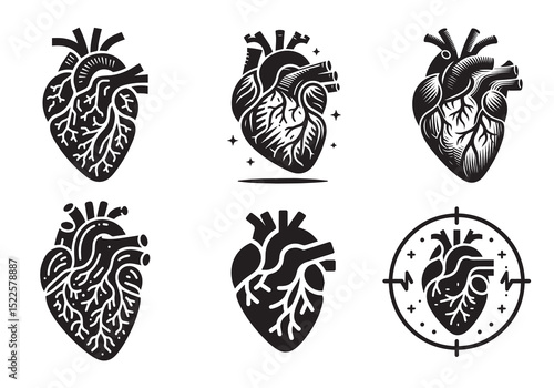 Anatomical Heart Silhouette Black Vector Set White Background