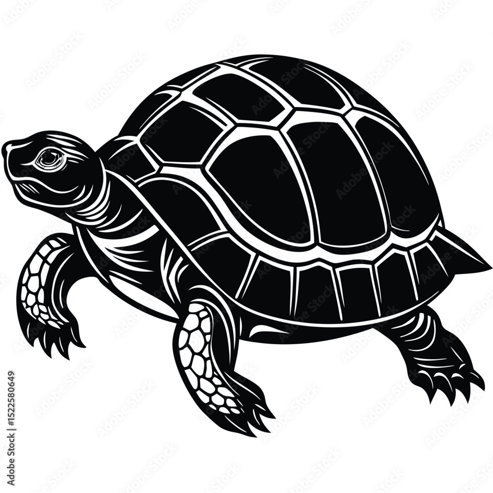 Fototapeta premium Vector illustration of turtle tortoise reptile black and white silhouette