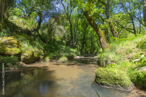 Clear water stream flowing through tapada nacional de mafra in portugal