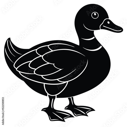 Black duck vector illustration waterfowl animal graphic art silhouette