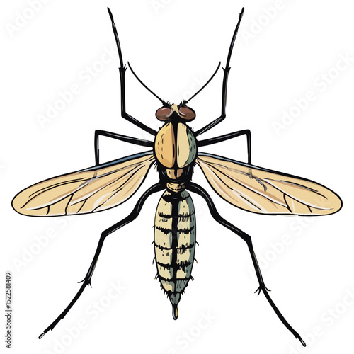 mosquito, insect, animal, vector, transparent background, creature, culicidae, nature, isolated, natural, wings, small, wildlife, malaria, pest