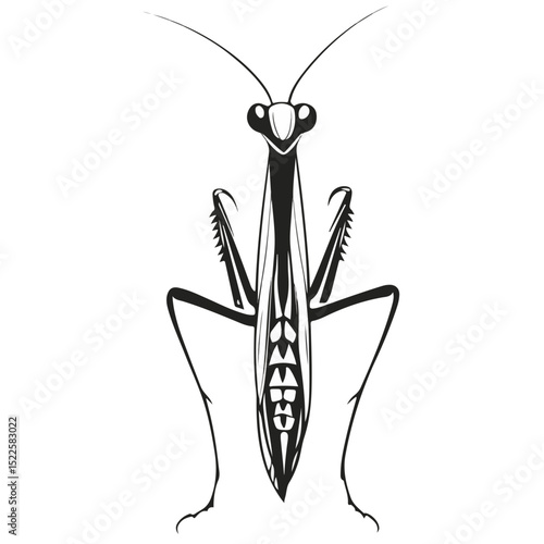 praying mantis, insect, animal, vector, transparent background, creature, mantodea, nature, mantis, isolated, predator, invertebrate, wildlife, mantis religiosa, mantid