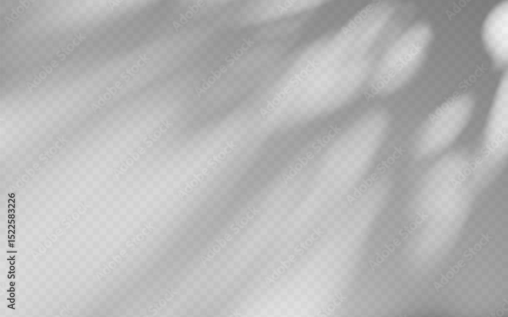 Abstract shadow overlay from tree branch on a transparent background. Abstract shadow overlay from tree branch on a transparent background.