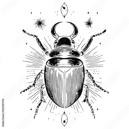 scarab, insect, animal, vector, transparent background, creature, scarabaeidae, nature, isolated, invertebrate, wildlife, coleoptera, arthropod, fauna, chafer
