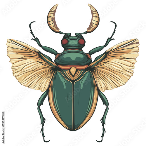 scarab, insect, animal, vector, transparent background, creature, scarabaeidae, nature, isolated, invertebrate, wildlife, coleoptera, arthropod, fauna, chafer
