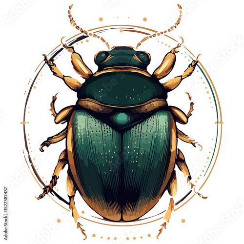 scarab, insect, animal, vector, transparent background, creature, scarabaeidae, nature, isolated, invertebrate, wildlife, coleoptera, arthropod, fauna, chafer