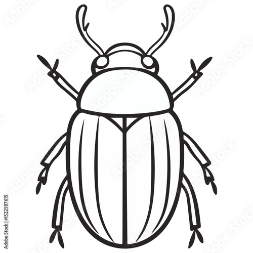 scarab, insect, animal, vector, transparent background, creature, scarabaeidae, nature, isolated, invertebrate, wildlife, coleoptera, arthropod, fauna, chafer