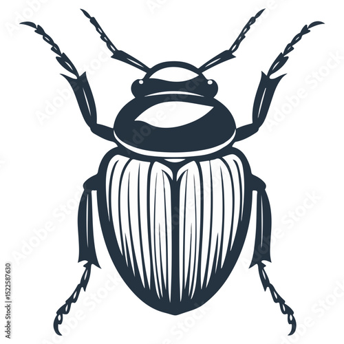 scarab, insect, animal, vector, transparent background, creature, scarabaeidae, nature, isolated, invertebrate, wildlife, coleoptera, arthropod, fauna, chafer