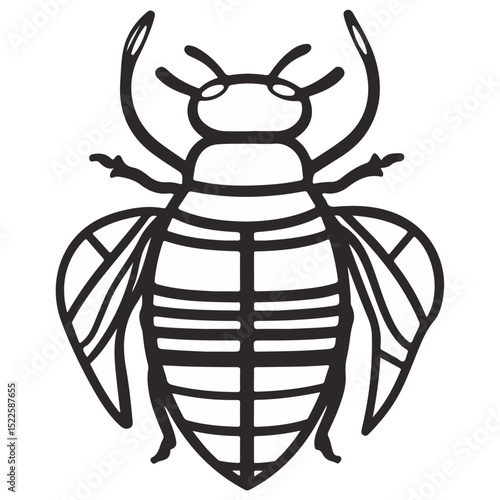 scarab, insect, animal, vector, transparent background, creature, scarabaeidae, nature, isolated, invertebrate, wildlife, coleoptera, arthropod, fauna, chafer