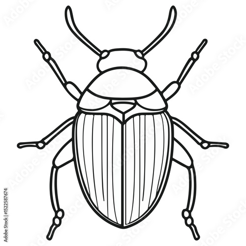 scarab, insect, animal, vector, transparent background, creature, scarabaeidae, nature, isolated, invertebrate, wildlife, coleoptera, arthropod, fauna, chafer
