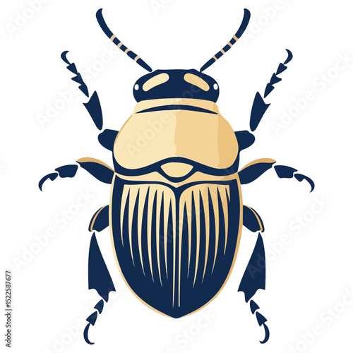 scarab, insect, animal, vector, transparent background, creature, scarabaeidae, nature, isolated, invertebrate, wildlife, coleoptera, arthropod, fauna, chafer