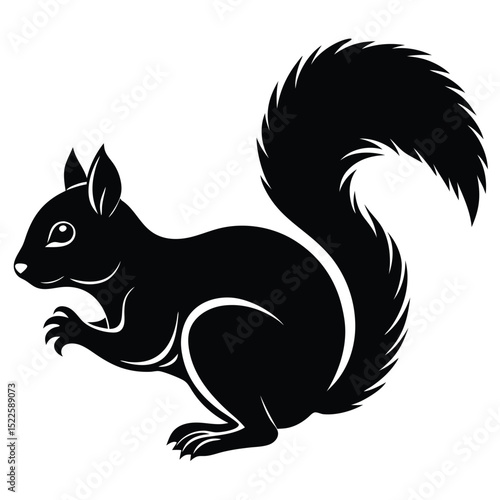 Isolated black squirrel vector illustration silhouette art