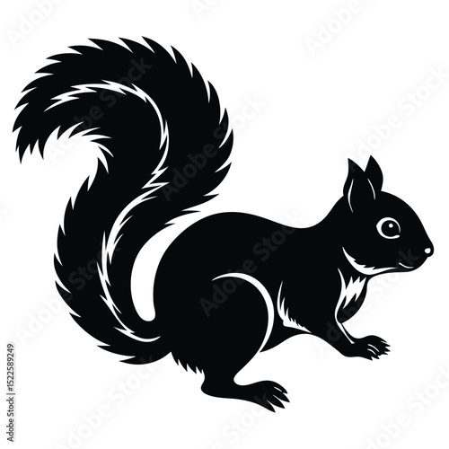 Black squirrel vector illustration wildlife animal rodent silhouette