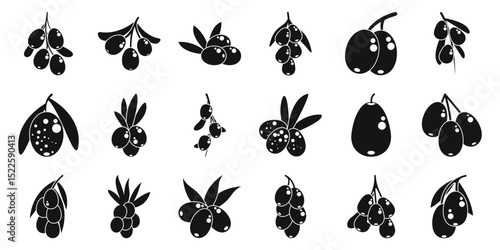 Sea buckthorn icons set. Set of simple black and white icons of olives, showing different growing stages and styles