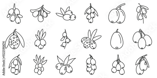 Sea buckthorn icons set. Set of simple black and white sea buckthorn icons, depicting various forms of the berries and leaves on a branch