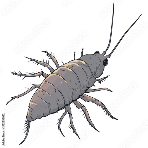 silverfish, insect, animal, vector, transparent background, organism, lepisma saccharina, isolated, nature, pest, wildlife, small