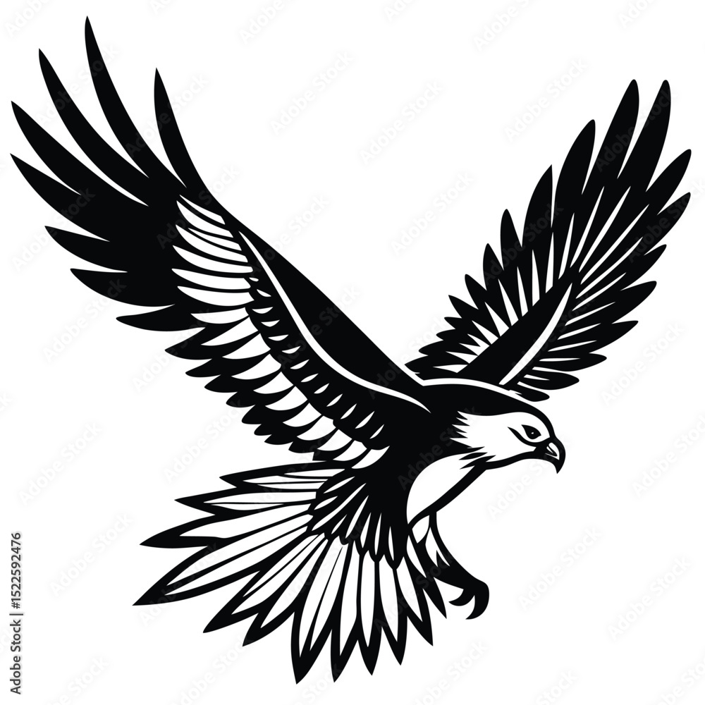 Obraz premium Eagle vector illustration soaring bird graphic design art silhouette