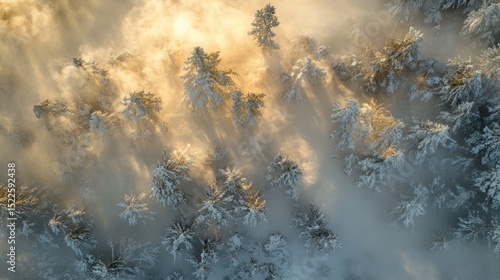 Abstract forms in soft light