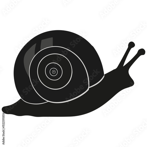 snail, insect, animal, vector, transparent background, creature, wildlife, nature, cute, isolated, zoo, slimy, shell, slow, escargot, invertebrate, icon, pattern, mollusk, small