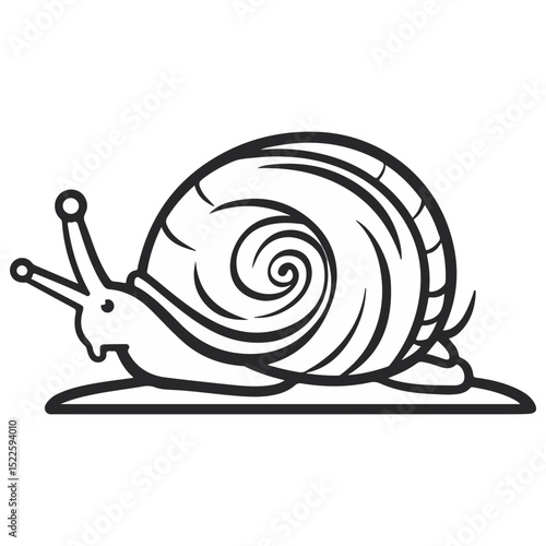 snail, insect, animal, vector, transparent background, creature, wildlife, nature, cute, isolated, zoo, slimy, shell, slow, escargot, invertebrate, icon, pattern, mollusk, small
