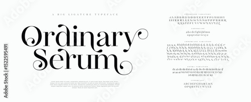 Elegant Font Uppercase Lowercase and Number. Classic Lettering Minimal Fashion Designs. Typography modern serif fonts regular decorative vintage vector illustration 