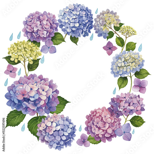 Vector watercolor Hydrangea / 水彩テイストのあじさいフレーム