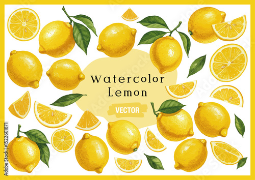 Vector watercolor lemon /水彩テイストのレモンイラスト