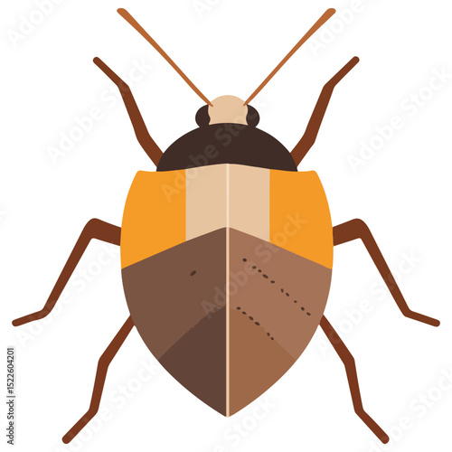 stink bug, insect, animal, vector, transparent background, organism, nature, isolated, wildlife, small, invertebrate