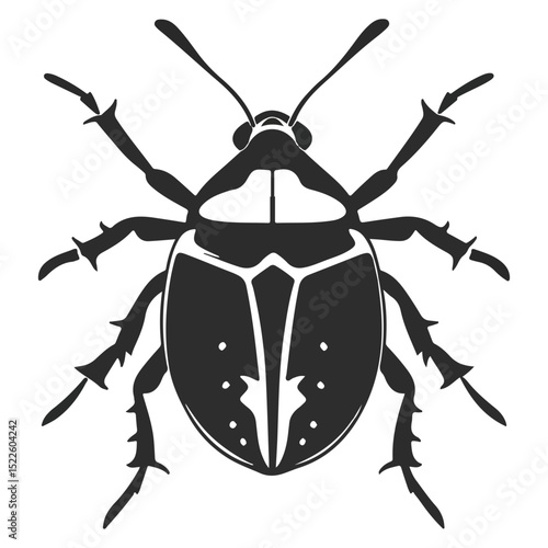 stink bug, insect, animal, vector, transparent background, organism, nature, isolated, wildlife, small, invertebrate