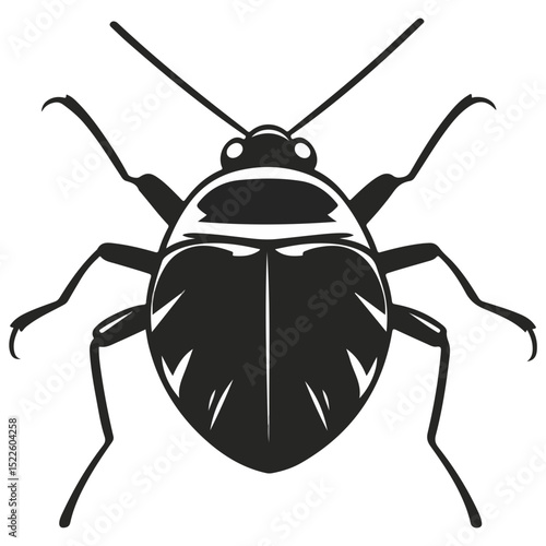 stink bug, insect, animal, vector, transparent background, organism, nature, isolated, wildlife, small, invertebrate
