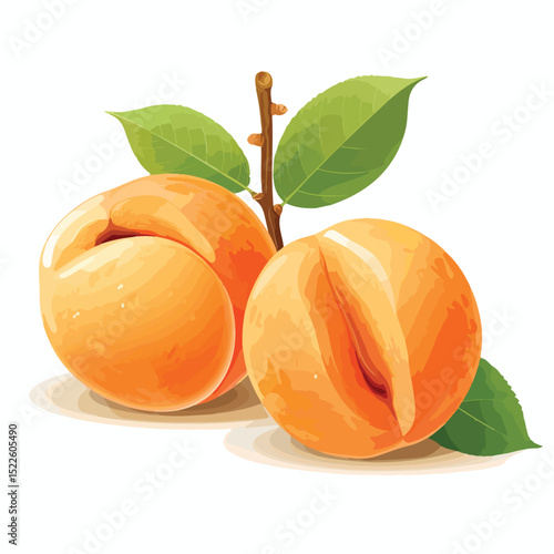 Apricot Healthy Fresh Vector Illustration for Nutritious Food Concept in Wellness Industry